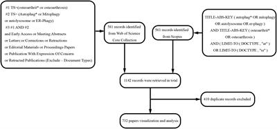 Knowledge mapping of autophagy in osteoarthritis from 2004 to 2022: A bibliometric analysis
